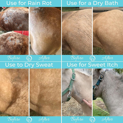 Daily Preventative Powder & Rain Rot Treatment for Horses | Safe & Effective Equine Sweet Itch, Skin Funk, Scratches | Dry Horse Shampoo, 64 Oz. | All Natural Ingredients