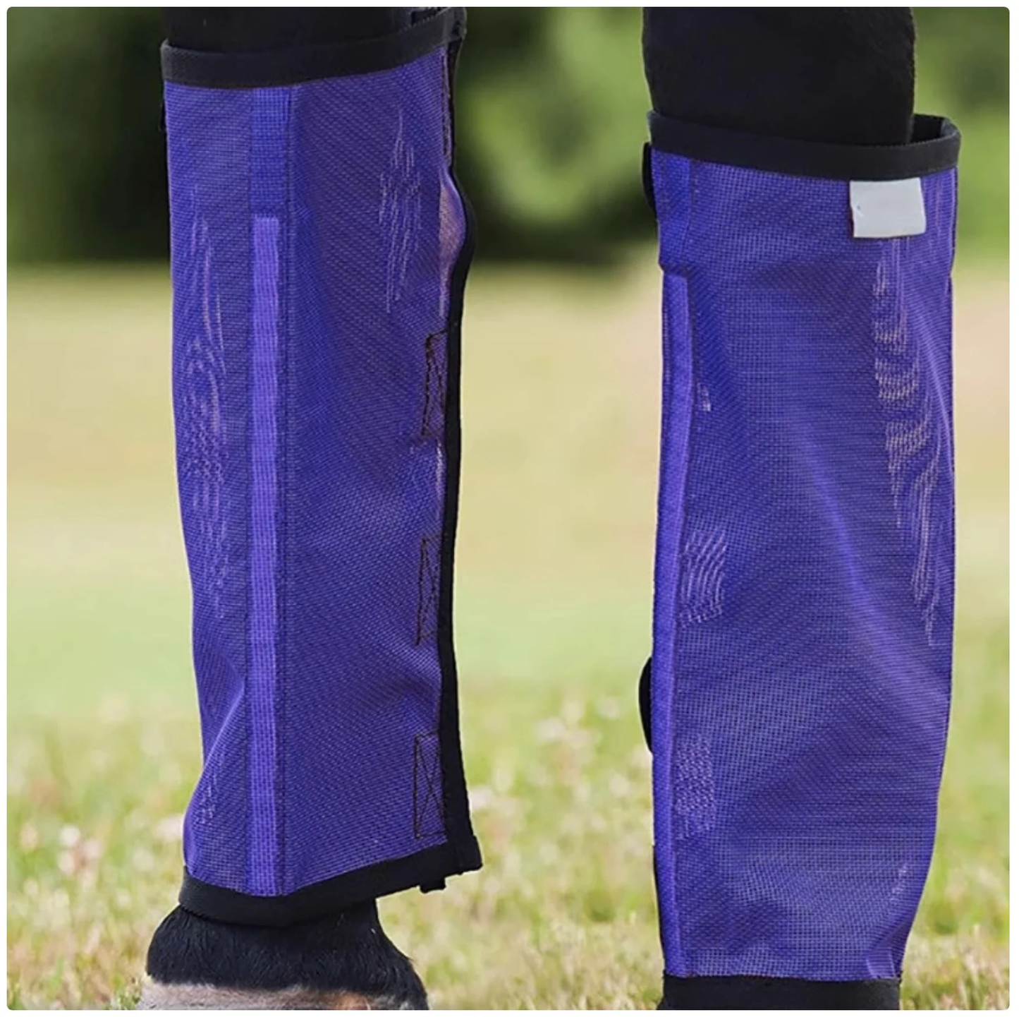 Horse Leg Fly Boots