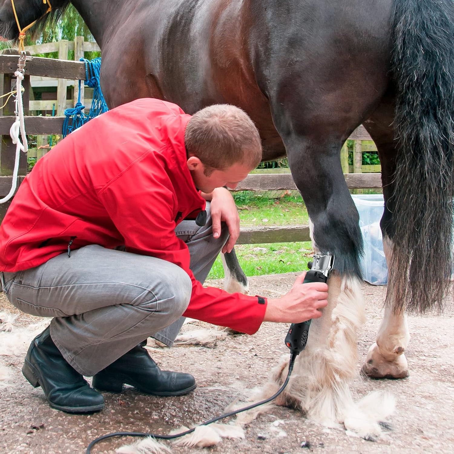 Horses Clippers,500W Professional Horse Clippers Heavy Duty Body Clipping, Sheep Shears for Dogs, Horse, Cattle, Farm Livestock Pet Grooming